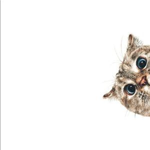 Meet your Posher, Laya